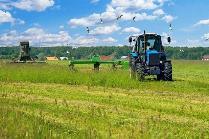 Πιστώνονται τη Δευτέρα 28 εκατ. ευρώ για συνδεδεμένες σε σκληρό, όσπρια, ψυχανθή και υπόλοιπα βασικής