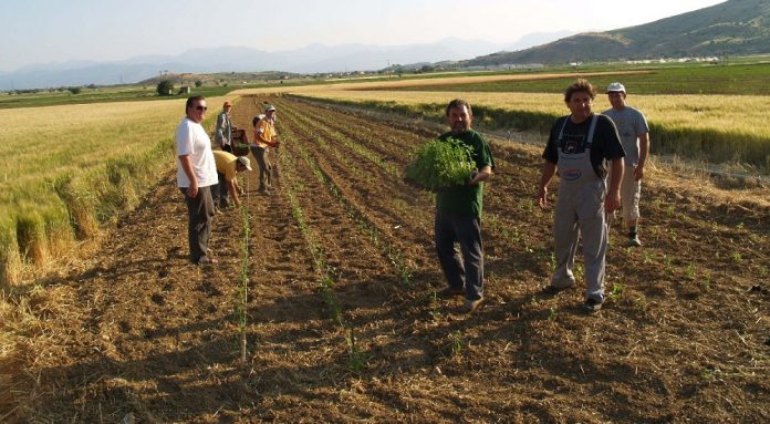 Πώς υπολογίζονται οι ασφαλιστικές εισφορές των αγροτών από το 2018