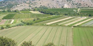 Προεδρικό διάταγμα για τις χρήσεις γης: Οι επιτρεπόμενες δραστηριότητες σε αγροτικές περιοχές