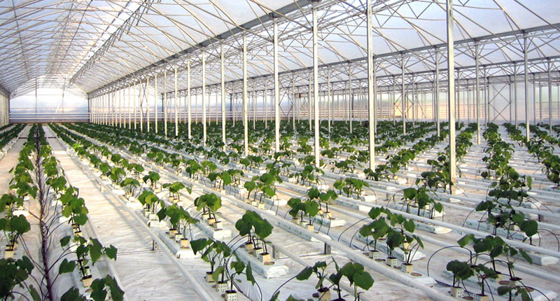 egkrithike-i-sygchonefsi-dia-aporrofiseos-tis-elastron-agrotiki-apo-ta-thermokipia-thrakis-80338