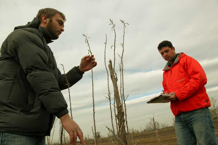i-egkyklios-tou-efka-me-tis-nees-asfalistikes-eisfores-ton-agroton-80353