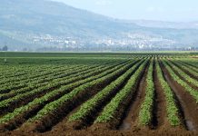 Γρεβενά: Ανησυχία των αγροτών για τη μη ένταξή τους στο πρόγραμμα των βιολογικών