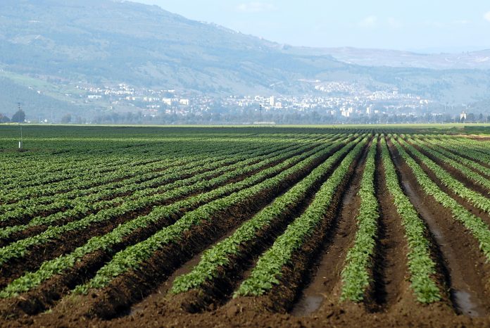 Γρεβενά: Ανησυχία των αγροτών για τη μη ένταξή τους στο πρόγραμμα των βιολογικών