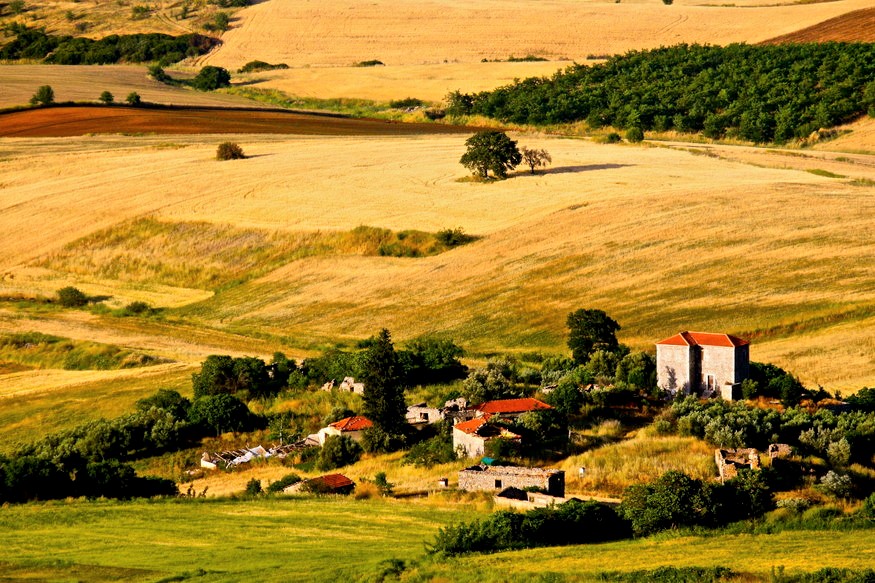 karditsa-agrotourismos-sta-pedina-kai-omos-80781