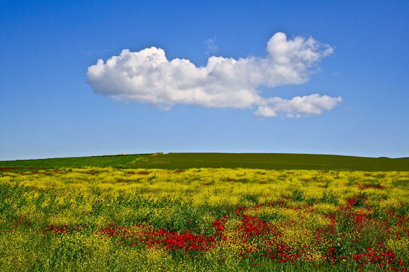 Αγροτουρισμός και πεδινές περιοχές Καρδίτσα: Αγροτουρισμός στα πεδινά; Και όμως…