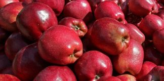 Πειραιάς: Δεσμεύτηκαν από δύο τόνοι μήλα σε επιχείρηση