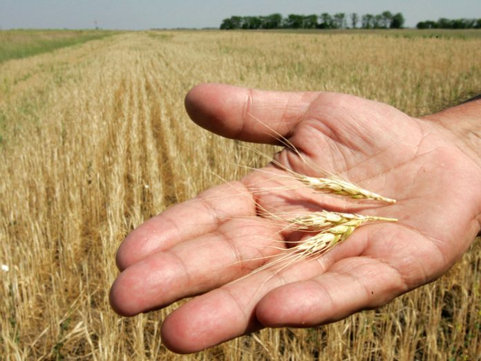pliromes-agrotes-ypaithros pliromes-agrotes-ypaithros