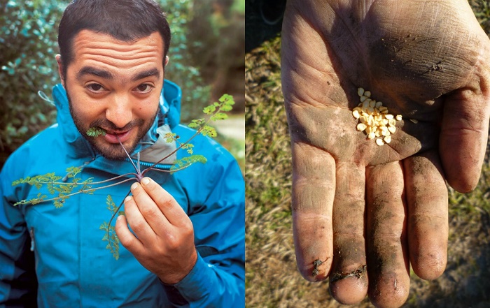 Σωτήρης Λυμπερόπουλος: Όσα μου έμαθε το «Ραδίκι»