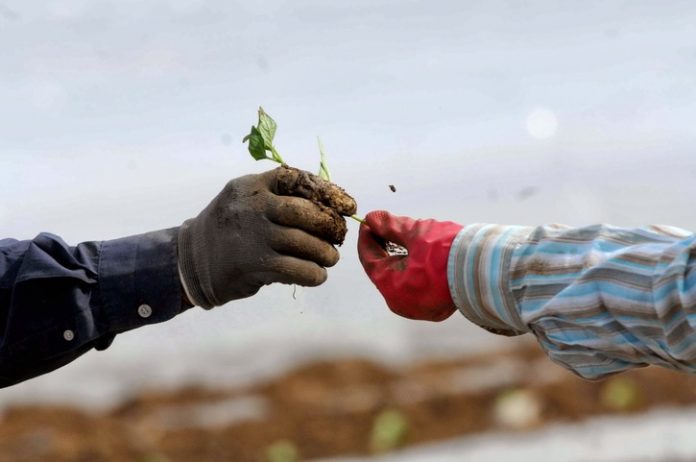 Εξετάζουν παράταση προθεσμίας για τους αγροτικός συνεταιρισμούς