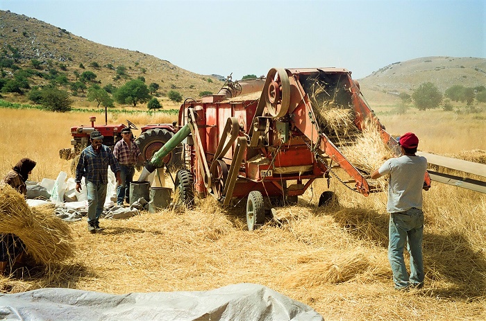 Οι ξεχασμένες πατόζες ξυπνούν τις μνήμες μιας άλλης εποχής (Βίντεο)