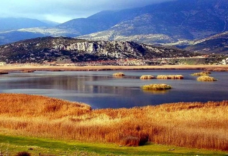 2os-imimarathonios-agonas-dromou-sti-limni-stymfalia-81370