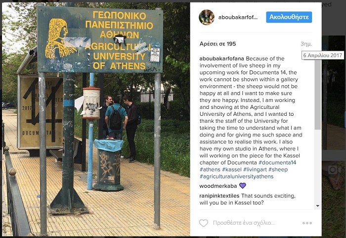 54 πρόβατα βαμμένα λουλακί εκτίθενται στο Γεωπονικό Πανεπιστήμιο