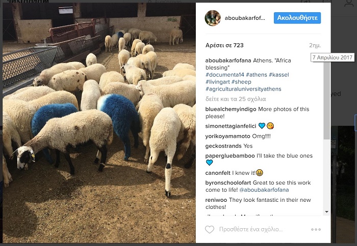 54 πρόβατα βαμμένα λουλακί εκτίθενται στο Γεωπονικό Πανεπιστήμιο