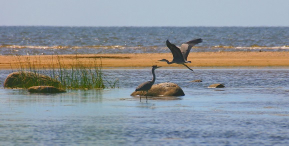 Αν. Μακεδονία - Θράκη: Αίτημα για δίκτυο Natura προς όφελος των αγροτών, ως αντιστάθμισμα των καλλιεργητικών δεσμεύσεων