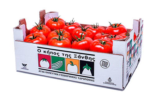 Ανεβάζει ταχύτητες το υδροπονικό πρότζεκτ