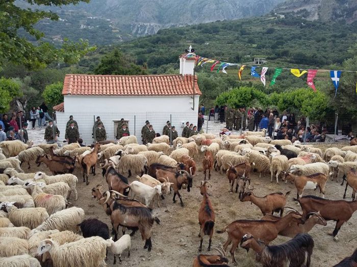 Κρήτη: Αναβίωσε στην Ασή Γωνιά το έθιμο της ευλογίας των προβάτων