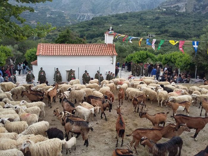 Κρήτη: Αναβίωσε στην Ασή Γωνιά το έθιμο της ευλογίας των προβάτων Κρήτη: Αναβίωσε στην Ασή Γωνιά το έθιμο της ευλογίας των προβάτων