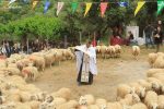 ethimo-eulogia-provaton-asi-gwnia (4)