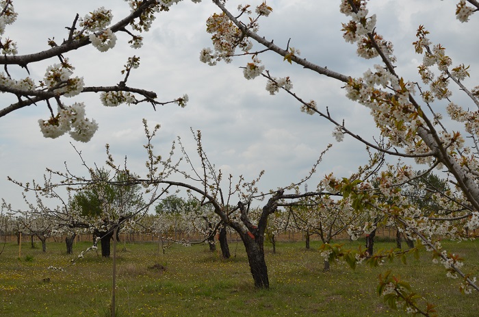 se-kinitopoiiseis-gia-ti-mi-anagnorisi-zimion-apo-ton-elga-oi-agrotes-tis-eordaias-82033