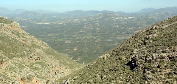 Νέα εποχή για τον Συνεταιρισμό Μεσαράς