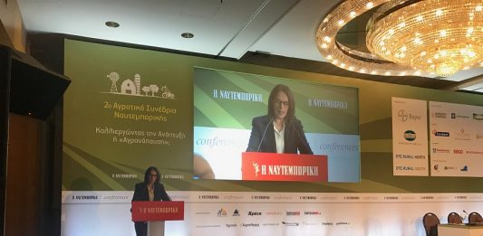Κ. Παπανάτσιου: Ανανεωμένο ΣΔΟΕ στη μάχη κατά των ελληνοποιήσεων  
