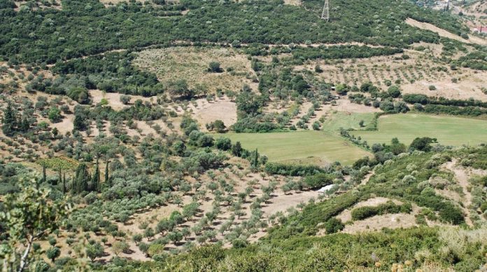 Σ. Φάμελλος: Ευθύνη των Δήμων οι καθυστερήσεις στις οικιστικές πυκνώσεις Σ. Φάμελλος: Ευθύνη των Δήμων οι καθυστερήσεις στις οικιστικές πυκνώσεις