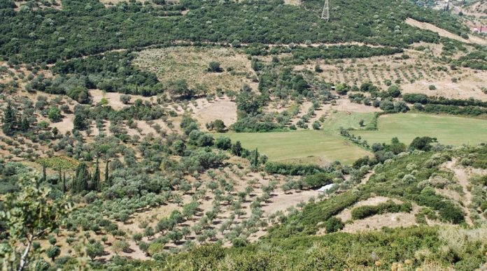 Σ. Φάμελλος: Ευθύνη των Δήμων οι καθυστερήσεις στις οικιστικές πυκνώσεις