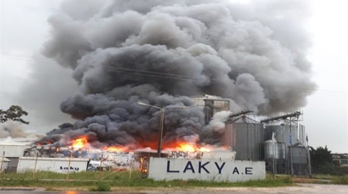 Στις φλόγες το εργοστάσιο της αλλαντοβιομηχανίας ΒΙΚΗ