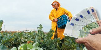 Β. Αποστόλου: Στα 4 δις ευρώ οι ληξιπρόθεσμες οφειλές αγροτών