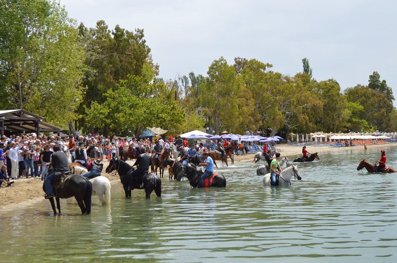 Αναβιώνει το έθιμο αγιασμού των αλόγων στα Καλά Νερά