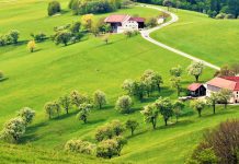 Οι φάρμες της Αυστρίας... στην ελιτ του αγροτουρισμού