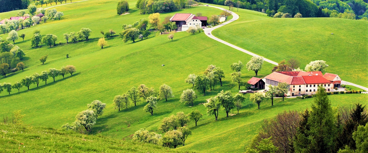 oi-farmes-tis-afstrias-stin-elit-tou-agrotourismou-85115