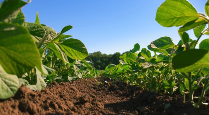 organoseis-paragogon-xorafi-agrotes