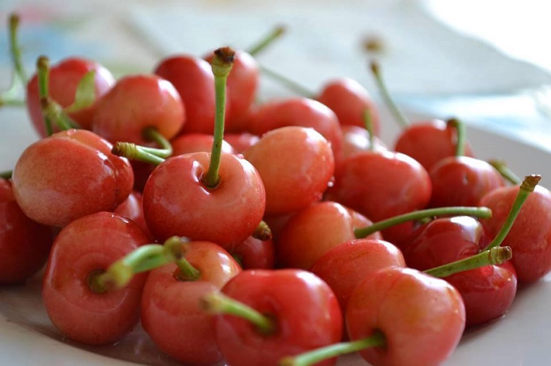 Πλάτανος Κυνουρίας: Όπου ακούς πολλά κεράσια...