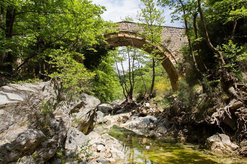 Πλάτανος Κυνουρίας: Όπου ακούς πολλά κεράσια...