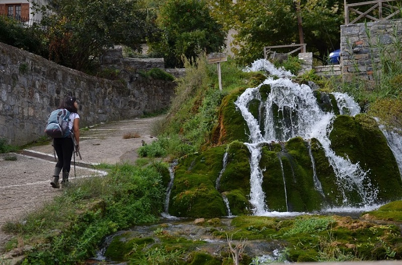 Πλάτανος Κυνουρίας: Όπου ακούς πολλά κεράσια...