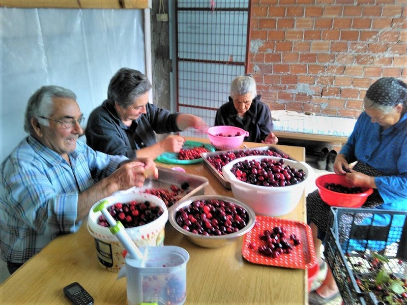 Πλάτανος Κυνουρίας: Όπου ακούς πολλά κεράσια...