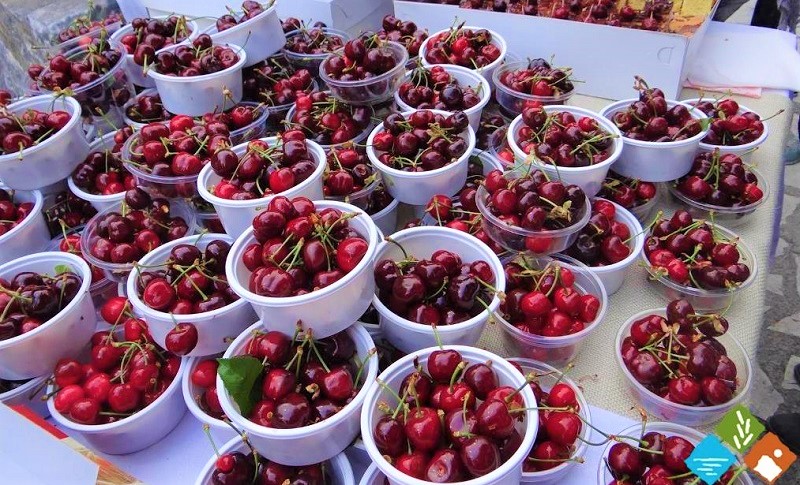 Πλάτανος Κυνουρίας: Όπου ακούς πολλά κεράσια...