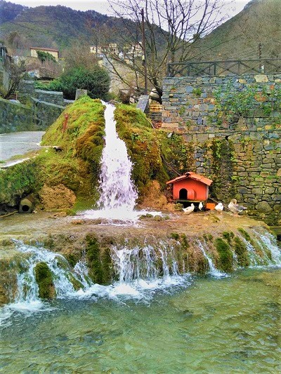 Πλάτανος Κυνουρίας: Όπου ακούς πολλά κεράσια...