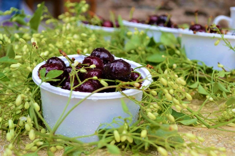Πλάτανος Κυνουρίας: Όπου ακούς πολλά κεράσια...
