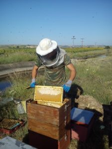 Θράκη: Μελισσοκόμος από κούνια και πανεπιστήμιο