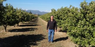 To Αγρόκτημα Παπαδήμα, από τα ιδρυτικά μέλη του Συνεταιρισμού Βιοπαραγωγών Δυτικής Ελλάδας, στηρίζει τις εξαγωγές