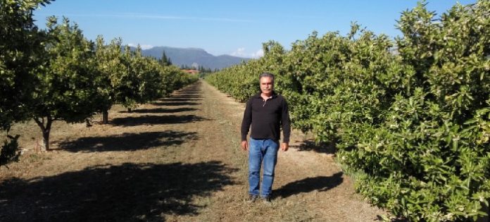 To Αγρόκτημα Παπαδήμα, από τα ιδρυτικά μέλη του Συνεταιρισμού Βιοπαραγωγών Δυτικής Ελλάδας, στηρίζει τις εξαγωγές
