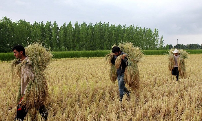 to-agrotiko-eborio-thema-syzitisis-stis-ekloges-tou-iran-85233