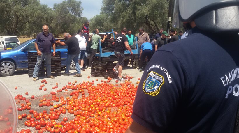 tybaki-me-ntomates-ypodechtikan-agrotes-ton-gianni-tsironi-85747