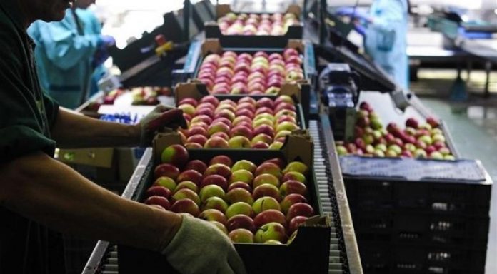 Πρωτόκολλο συνεργασίας για την ασφάλεια των τροφίμων Πρωτόκολλο συνεργασίας για την ασφάλεια των τροφίμων
