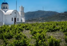 Ένατη η Ελλάδα στην παραγωγή κρασιού για το 2018
