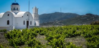 Ένατη η Ελλάδα στην παραγωγή κρασιού για το 2018