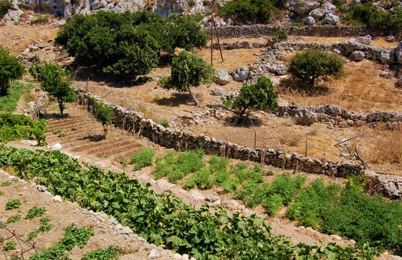 Ξερολιθιά: Η αθάνατη τέχνη της πέτρας