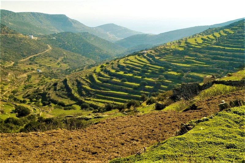 Ξερολιθιά: Η αθάνατη τέχνη της πέτρας